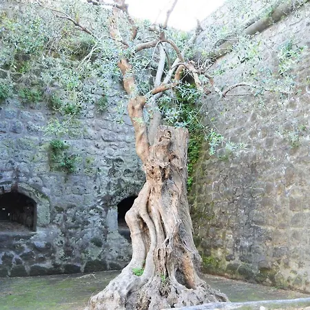 La Piccola Guest house *